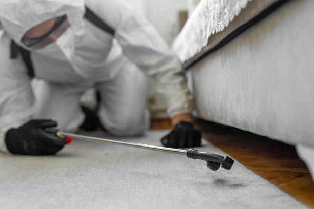 Professional Bed Bug Control technician working in Washington, UT